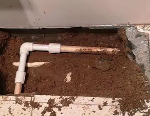 黔东南测漏水哪家好